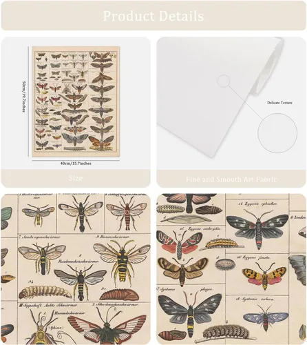 Vista 2 de Meishe Art Póster Impreso Vintage Polilla Insectos Razas Identificación Tabla de Referencia Colección de Especies Diagrama de Entomología Aula Club