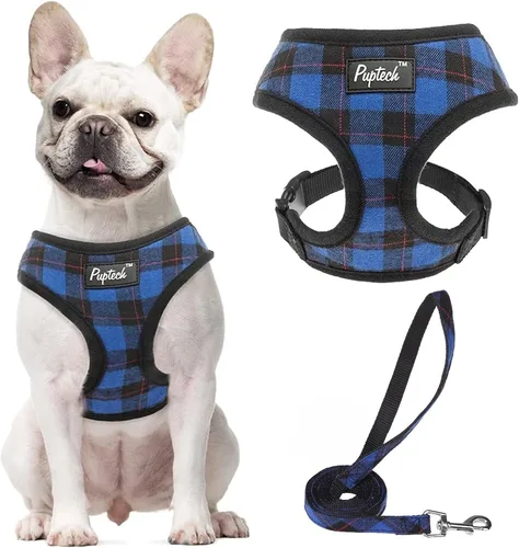 Vista 53 de PUPTECK Juego de arnés y correa de malla suave para perro, cachorro y gato, cómodo chaleco acolchado sin tirones, azul Pascua, S