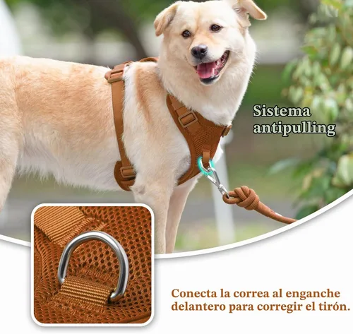 Vista 2 de Arnés sin tirones para perros pequeños, medianos y grandes - Chaleco de malla ajustable de 2 capas con doble clip, a prueba de escape, liberación