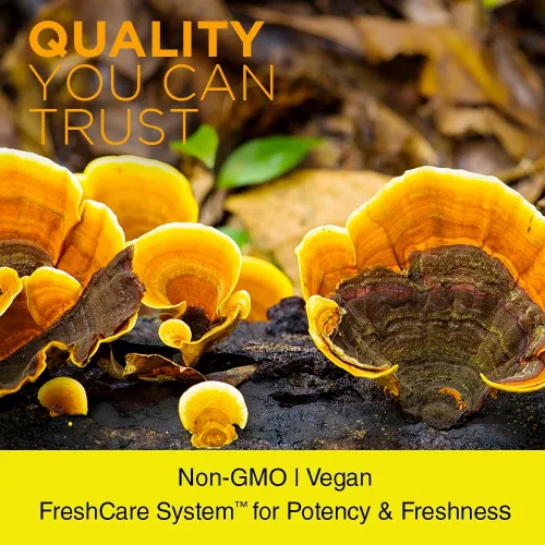 Vista 4 de Nature's Life Hongo Reishi 1200 mg Función inmune saludable, suplemento de energía y apoyo del estado de ánimo Sin OMG y verificado