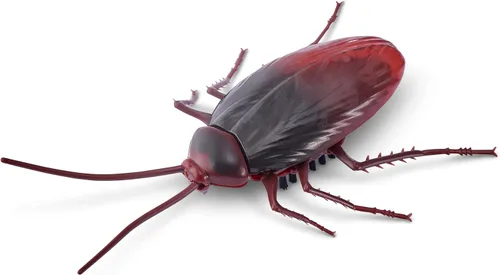 Vista 3 de ZURU Robo Alive Crawling Cockroach Series 2