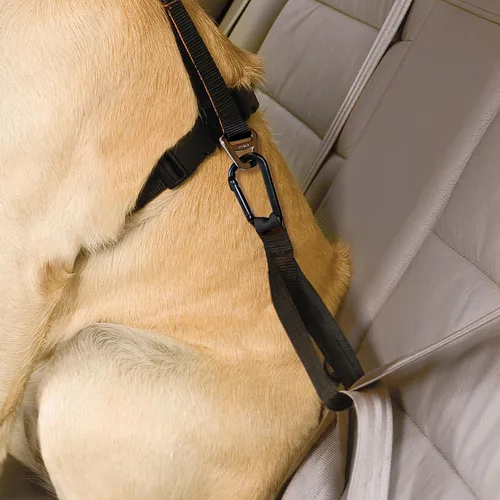 Vista 4 de Kurgo - Correa para cinturón de seguridad, color negro Dog Safety Tether with Carabiner, Helps Reduce Distracted Driving, Adjustable Length, Use