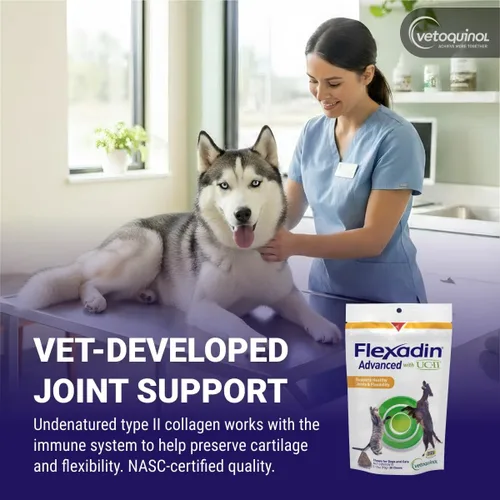 Vista 3 de Vetoquinol Flexadin, masticables avanzados para cadera y articulaciones