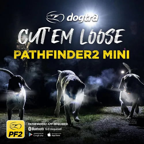 Vista 4 de Dogtra Pathfinder 2 Mini GPS Dog Tracker e Collar con Dogtra Titanium Puntos de contacto 3/4 pies Luz LED macho Sin tarifas mensuales Aplicación