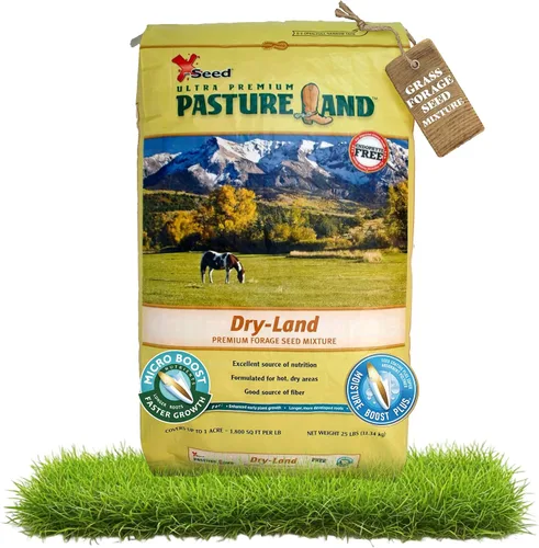 Vista 8 de X-Seed Mezcla de semillas de forraje de tierras secas con Micro-Boost – Festuca alta hierba huerta de riegrass, pasto libre de endófitos para una