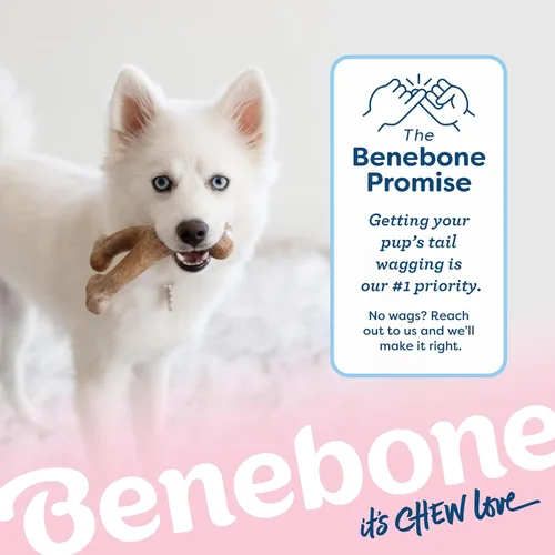 Vista 6 de Benebone Puppy Wishbone - Juguete masticable para perro, fabricado en Estados Unidos, sabor a tocino real, pequeño