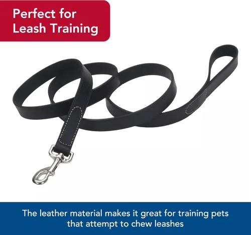 Vista 4 de Coastal Pet Circle T - Correa de piel curtida de roble para perro, accesorio duradero perfecto para entrenamiento de correa, herramienta cómoda