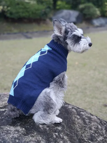 Vista 6 de Suéter Argyle tejido, para mascota Azul