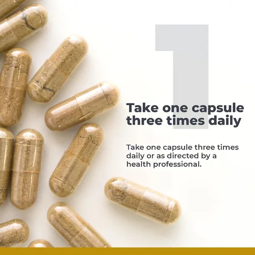 Vista 5 de Premier Research Labs CereVen - Suplemento cerebral herbario para memoria y concentración con Rhodiola Rosea, suplemento de Rhodiola Rosea