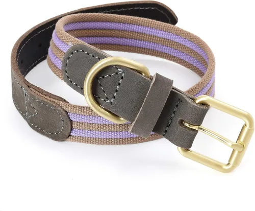 Vista 25 de Mile High Life Collar ajustable de polialgodón suave y fuerte con hebilla de liberación rápida para perros pequeños a grandes