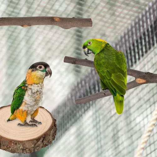 Vista 5 de 9 perchas de madera natural para pájaros, soporte de madera para loros, ramas, accesorios de plataforma para periquitos, cacatúas, conures