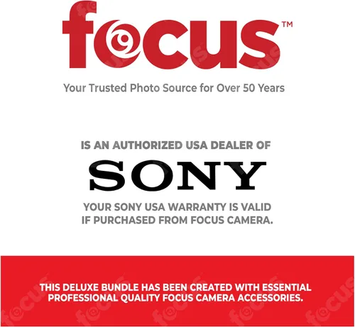 Vista 3 de Sony A6400 - Cámara digital sin espejo (solo cuerpo) con tarjeta SDXC de 64 GB de alta velocidad, kit de filtro, 3 baterías, cargador USB, Corel