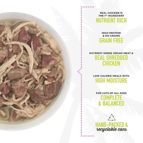 Vista 6 de TIKI PETS Cat After Dark - Alimento húmedo sin granos, bajo en carbohidratos con carne triturada real para gatos y gatitos, 2.8 onzas, 12