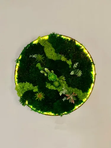 Vista 2 de Luxury Round Framed with Light Green Moss Art Luxury Vertical Garden Wall Designed Home Decor Office Commercial