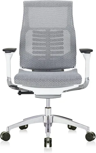 Vista 8 de POwerFIT Exec Silla Gris MESH ASIENTO Y Respaldo-Marco Blanco