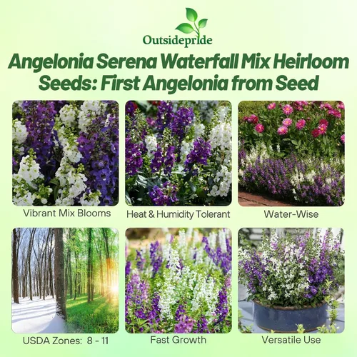 Vista 2 de Outsidepride Serena Waterfall Mix Angelonia Snapdragon Seeds para plantar, 15 piezas de semillas de flores perennes, aptas para polinizadores