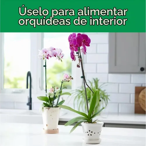 Vista 5 de Miracle-Gro Orchid Plant Food Mist 8 onzas (paquete de 6)