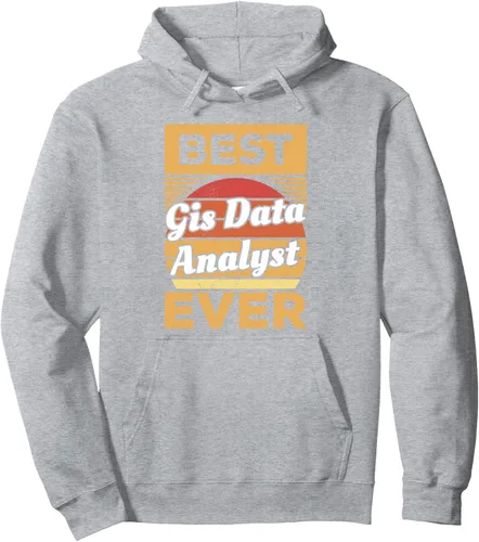 Vista 3 de Vintage Best GIS Data Analyst Ever Pullover Hoodie Negro