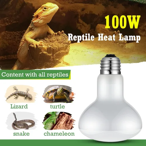 Vista 4 de Tarpop 8 bombillas de lámpara de calor para reptiles de 100 W, bombillas
