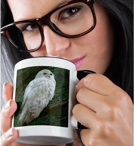 Vista 2 de 3dRose mug_154800_4 - Taza con diseño de búho blanco nieve posado en una rama contra un fondo verde, 11 onzas, color negro