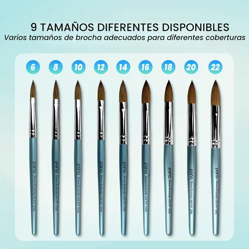 Vista 8 de Cepillo Pana USA para de uñas de acrílico, puro Kolinsky de pelo ovalado, forma prensada Verde azulado