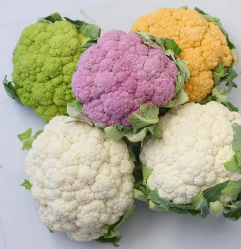 Vista 2 de Semillas de col de coliflor Mezcla de vegetales no transgénicos para plantar