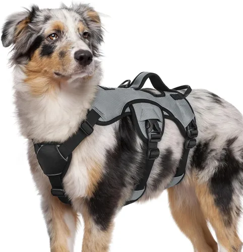 Vista 30 de rabbitgoo - Arnés para perros a prueba de fugas, arnés para mascotas acolchado y suave de cuerpo completo, arnés reflectante ajustable sin tirones