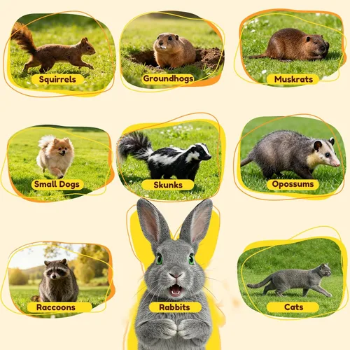 Vista 7 de Jaula plegable de trampa para animales humanos de 24" trampa de animales para gatitos callejeros, ardillas, conejos