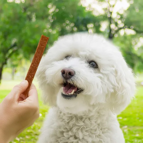 Vista 7 de Pet 'n Shape Golosinas para perros de cordero Jerky - 9 onzas