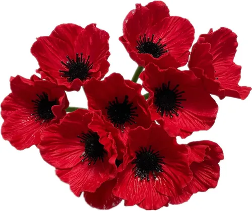Vista 7 de Rikyo 10 ramos de flores artificiales de 11 pulgadas, flores de amapola, anémona sintética de poliuretano, flores silvestres falsas para mesa