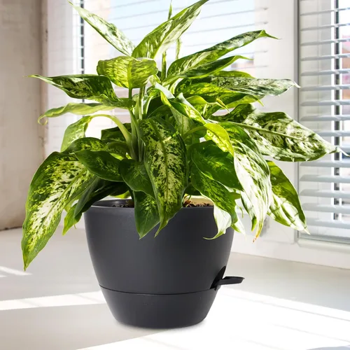 Vista 6 de WSMKSZ Macetas de riego automático medianas de 10/9/8 pulgadas, macetas con agujeros de drenaje de malla para plantas de jardín de interior y Negro