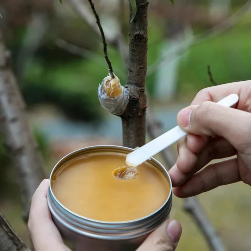 Vista 5 de Juego de cera para injerto de árbol, sellador de poda de heridas de árbol con cinta de sellado, cera de injerto para rosas, fruta, bonsái, arbustos