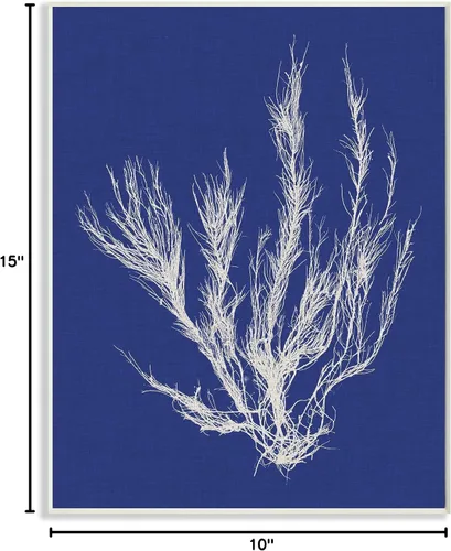 Vista 9 de Stupell Industries 'Coral Seaweed Blue White Beach Design' Placa de pared Sin marco