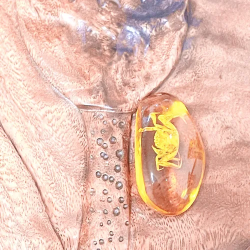 Vista 4 de 8 piezas de fósiles ámbar con insectos, muestras de piedras de cristal para decoración del hogar, colecciones, colgantes ovalados, colgante