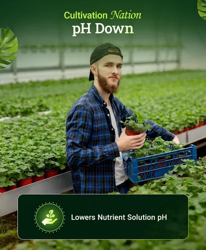 Vista 3 de FoxFarm Cultivation Nation pH Down for Plants' Soluciones de nutrientes - Formulado con ácido cítrico para ajuste - Ideal para suelos e hidroponía
