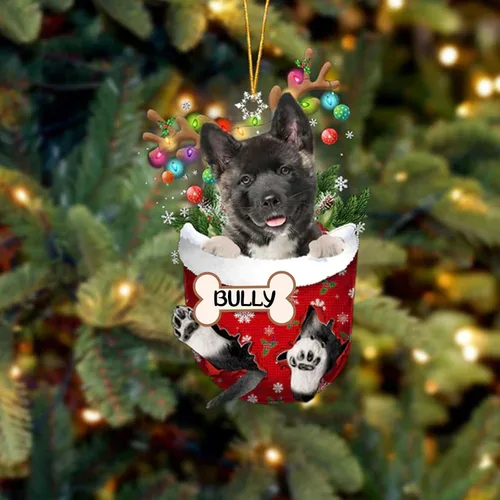 Vista 218 de IZI POD Affenpinscher Adorno de Navidad personalizado para perro, adorno de bolsillo de nieve para perro para árbol de Navidad, adorno acrílico