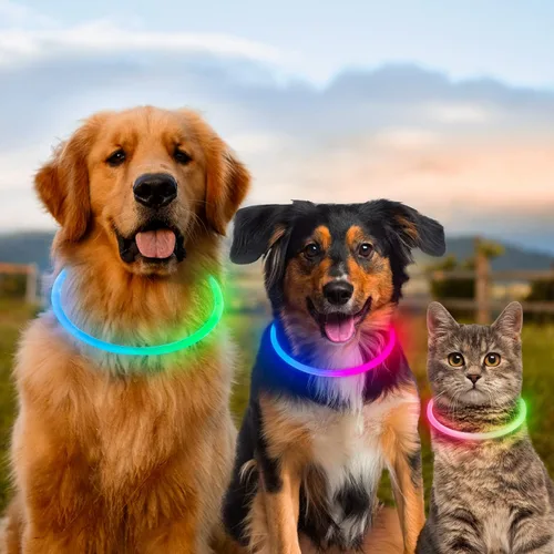Vista 6 de Collares de perro iluminados, collar de perro Dlitk LED recargable por USB, 1 unidad, collar brillante de poliuretano termoplástico para perros