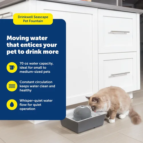 Vista 2 de PetSafe Drinkwell - Fuente de agua de cerámica para mascotas, dispensador automático silencioso de 70 onzas para gatos y perros con filtros, diseño