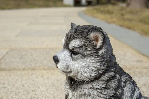 Vista 9 de HI-LINE Regalo Malamute - Estatua sentada para cachorros, color marrón
