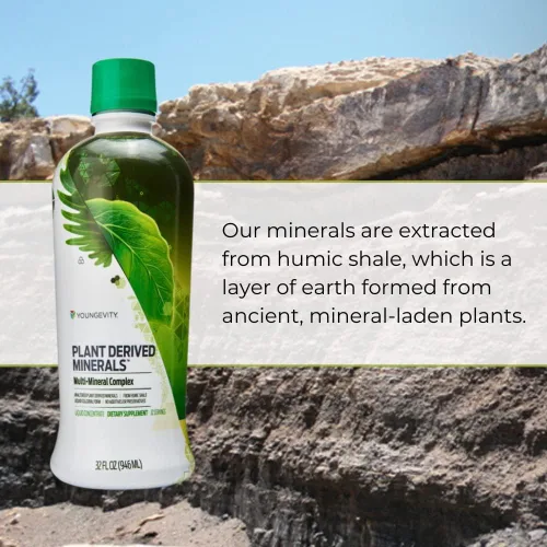Vista 4 de Youngevity Minerales líquidos derivados de plantas, más de 77 minerales naturales sin alterar, 19,000 mg de sólidos minerales vegetales, esquisto