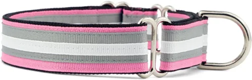Vista 4 de If It Barks Collar Martingala de 1 pulgada con hebilla de liberación rápida, ajustable, fabricado en Estados Unidos, pequeño, arándano
