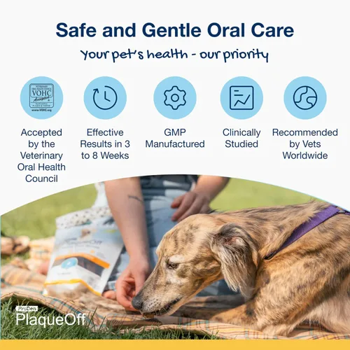 Vista 3 de ProDen - Mini huesos dentales para perros, mantequilla de maní y plátano