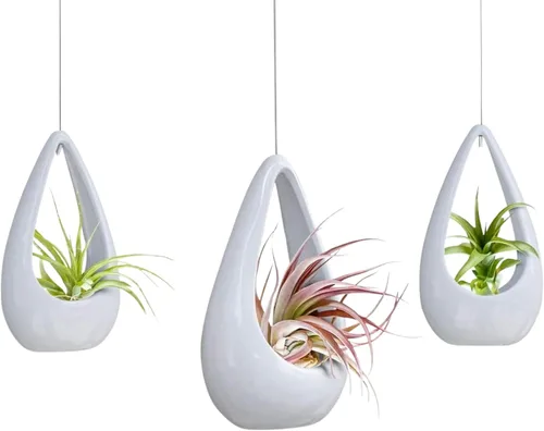 Vista 9 de 23 Bees, Soporte colgante para plantas de aire, maceta de cerámica con colgador verde, contenedor pequeño flotante para suculentas, soportes