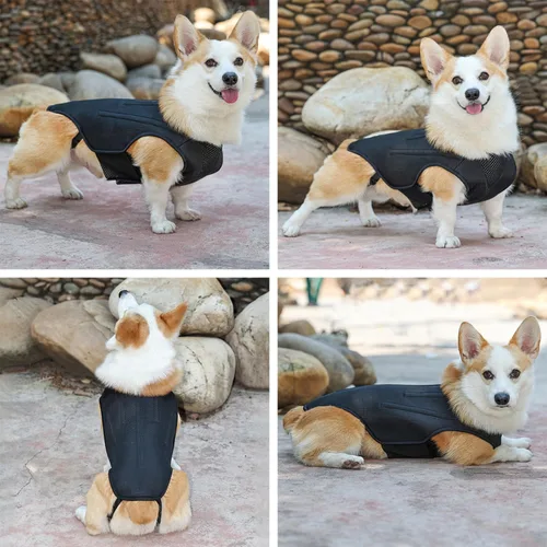 Vista 7 de IVDD - Soporte de espalda para perros, chaleco flexible de apoyo de espalda de perro salchicha para mascotas, soporte de espalda para mascotas