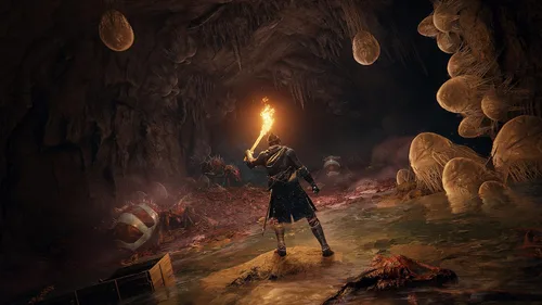 Vista 6 de Elden Ring (Xbox One)