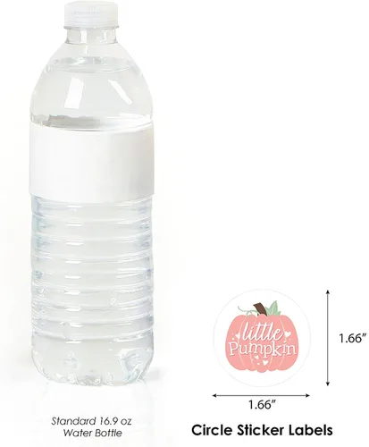 Vista 3 de Big Dot of Happiness Girl Little Pumpkin - Etiquetas adhesivas circulares para fiesta de cumpleaños o baby shower, 24