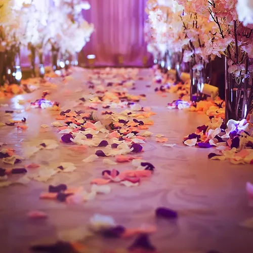 Vista 5 de 200 pétalos de rosa de seda para bodas, decoración de bodas, decoración de bodas, pétalos artificiales para propuestas, decoraciones románticas