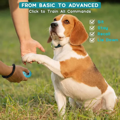 Vista 8 de Pet Training Clicker with Wrist Strap - Dog Training Clickers for Puppy, Cat, Potty, Bird, Horse, Pet, Trainer Training Tools, Behavior Aids