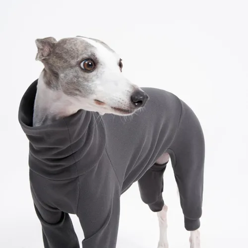 Vista 3 de Ropa interior mullida de algodón acogedora para galgos italianos, whippets, pijamas y overoles súper suaves y cálidos (S, gris)