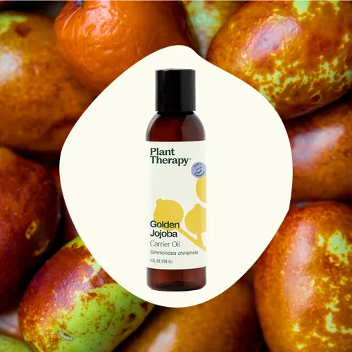 Vista 3 de Plant Therapy Aceite portador dorado de jojoba de 4 onzas, 100% puro, prensado en frío, natural y libre de OGM y aceite portador para aceites